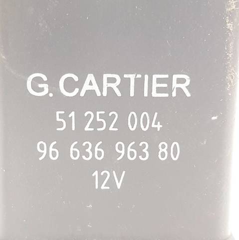 9663696380 Peugeot/Citroen