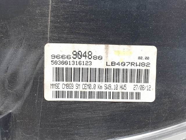 9666904880 Peugeot/Citroen