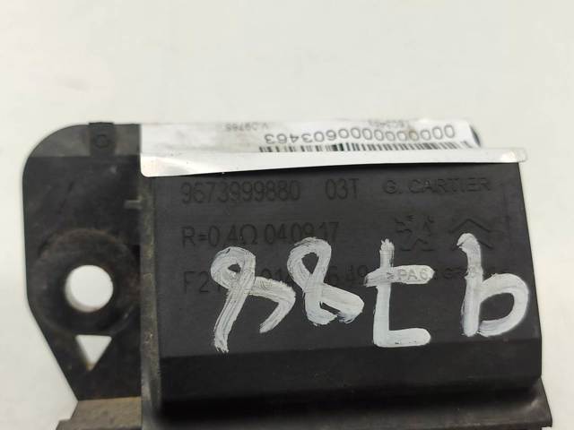 9673999880 Peugeot/Citroen