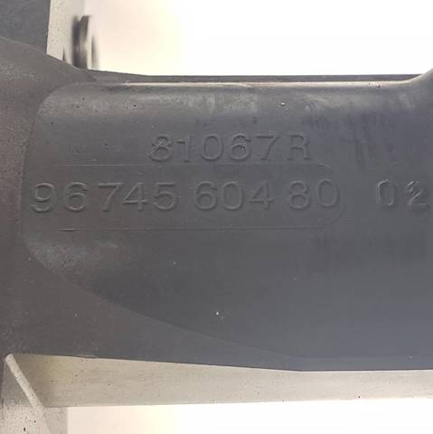 9674560480 Peugeot/Citroen