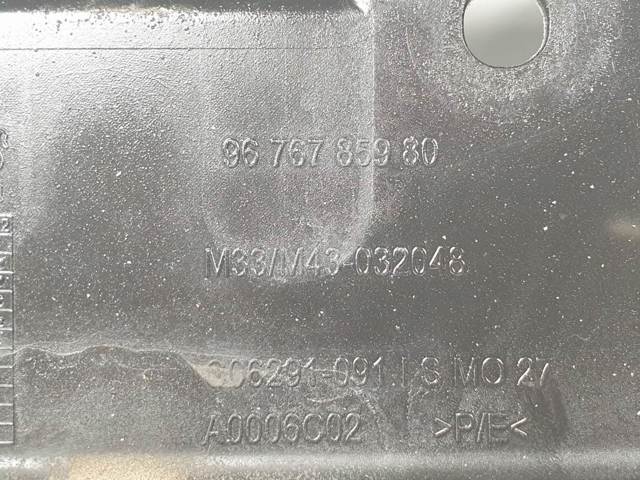 9676785980 Peugeot/Citroen
