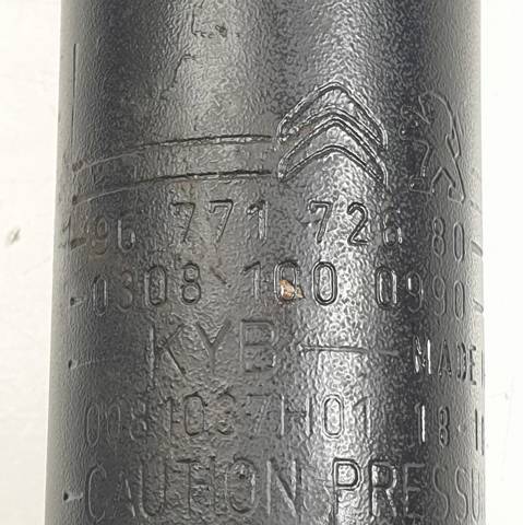 9677172680 Peugeot/Citroen