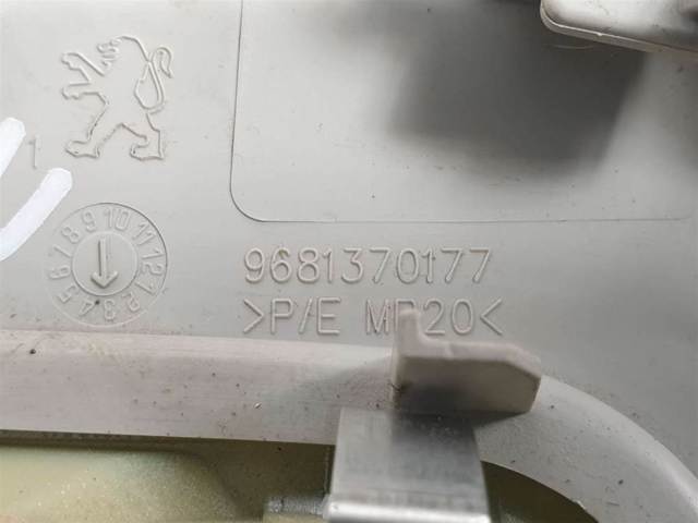 9680713880 Peugeot/Citroen