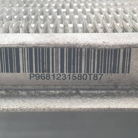 9681231580 Peugeot/Citroen