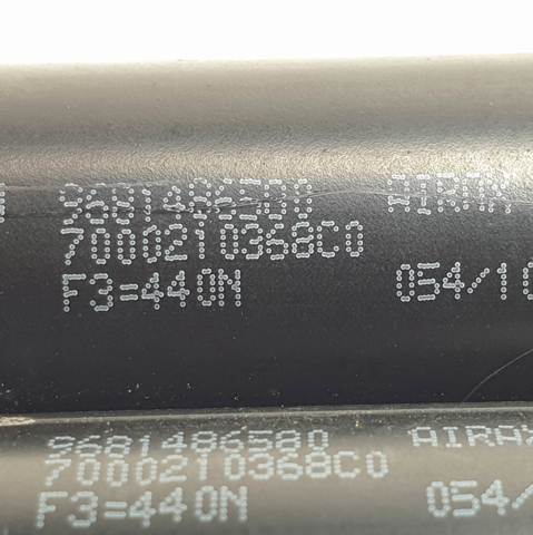 9681486580 Peugeot/Citroen