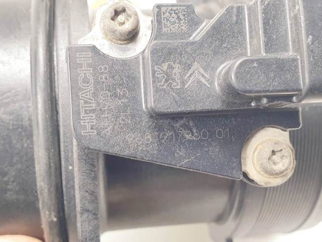 9681917980 Peugeot/Citroen