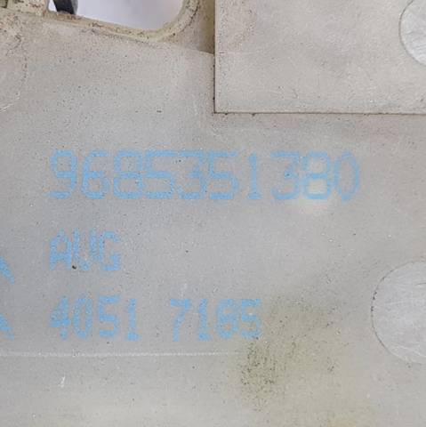 9685351380 Peugeot/Citroen