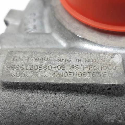 9686120680 Peugeot/Citroen
