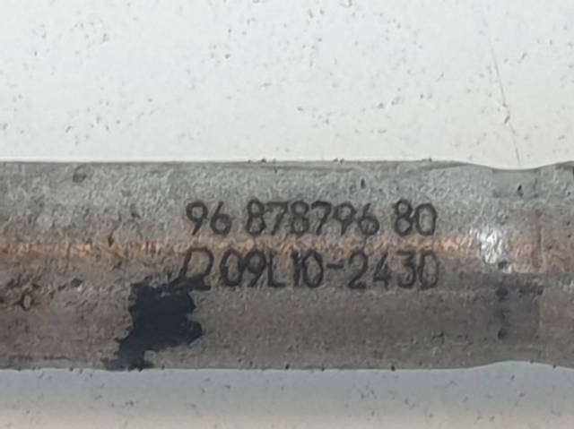 9687879680 Peugeot/Citroen