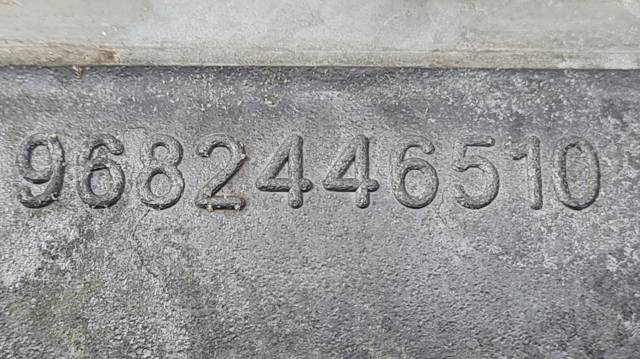 9688418110 Peugeot/Citroen