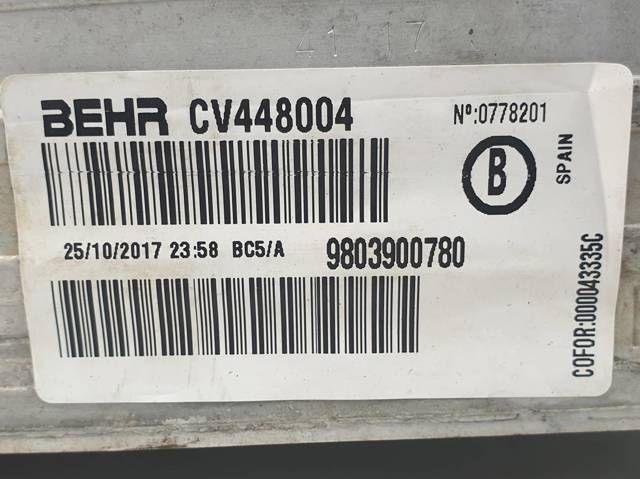 9803900780 Peugeot/Citroen
