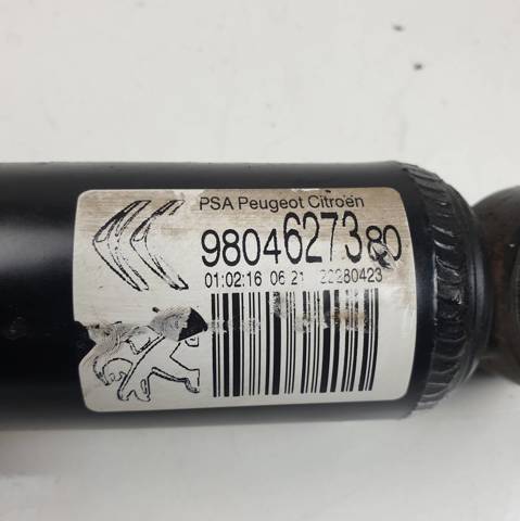 9804627380 Peugeot/Citroen