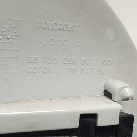 9807206080 Peugeot/Citroen