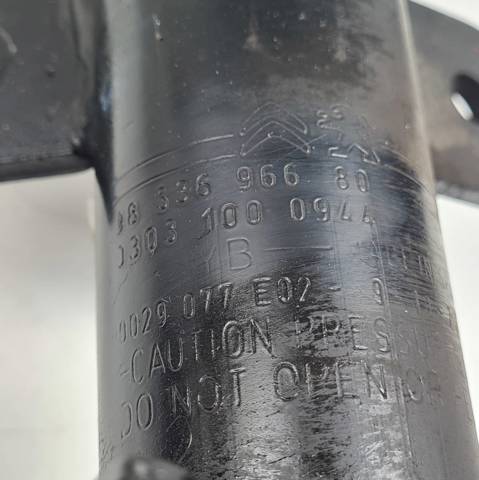 9833696680 Peugeot/Citroen