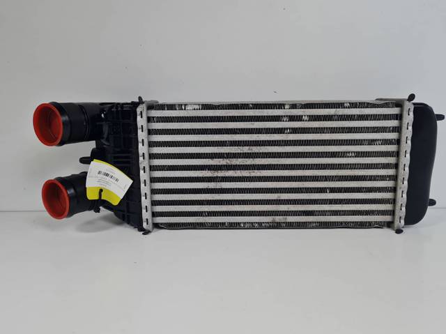 99001059 Peugeot/Citroen