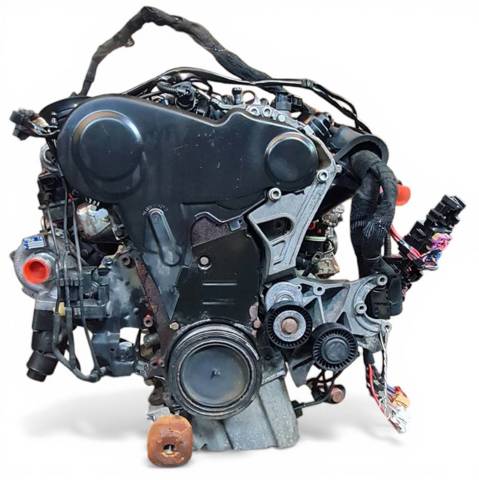 CAG VAG