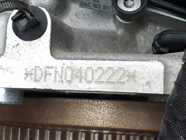 DFN VAG