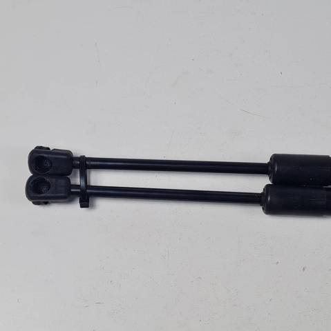 Muelle neumático, tapa delantera FK7216C826AC LAND ROVER