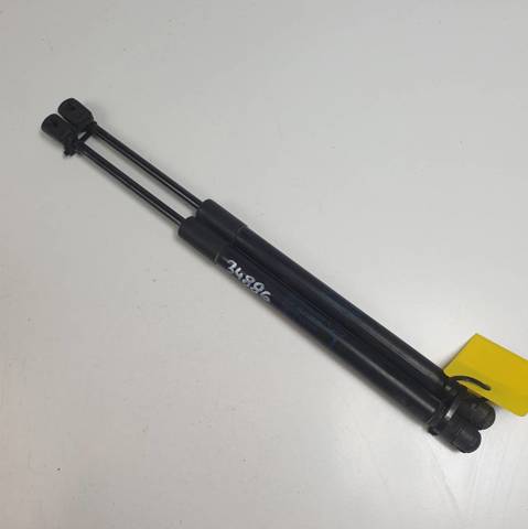 Muelle de capó  Land Rover Discovery V (2016-2026)