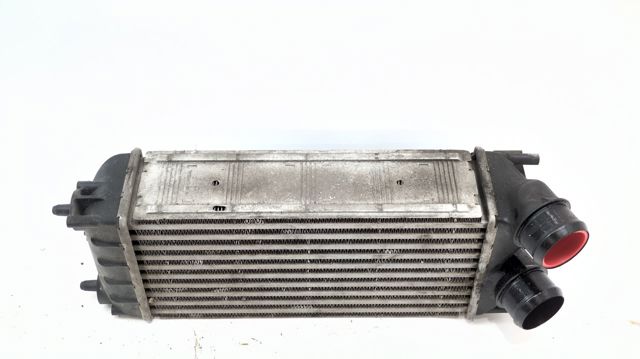 0384N9 PEUGEOT Intercooler  disponible Vigo