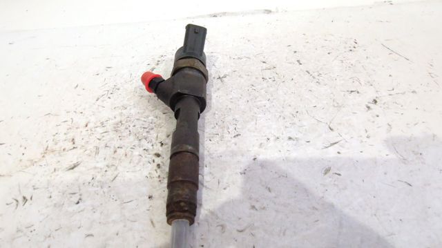 Inyectores 0445110110B RENAULT