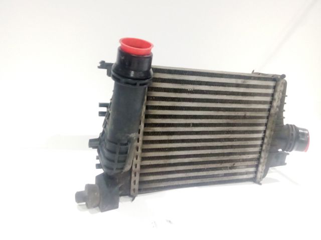 144961381R Renault (RVI)