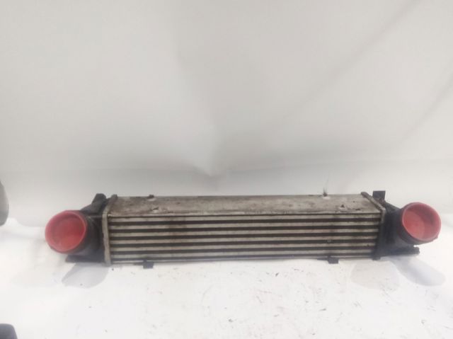 BMW 17517524916 Intercooler  comprar en Albacete
