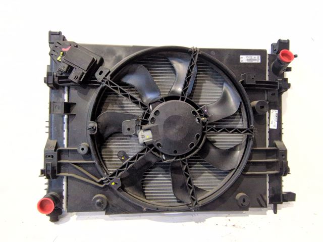 214811626R Ventilador eléctrico de refrigeración completo (motor y hélice)  comprar en Reus
