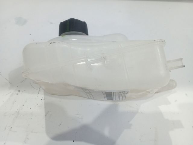 Botella de refrigeración Renault Scenic III monovolumen comprar en España