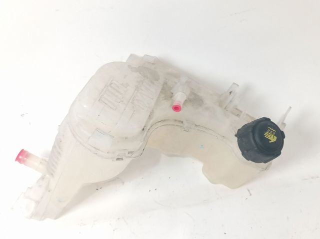 217100014R Renault (RVI)