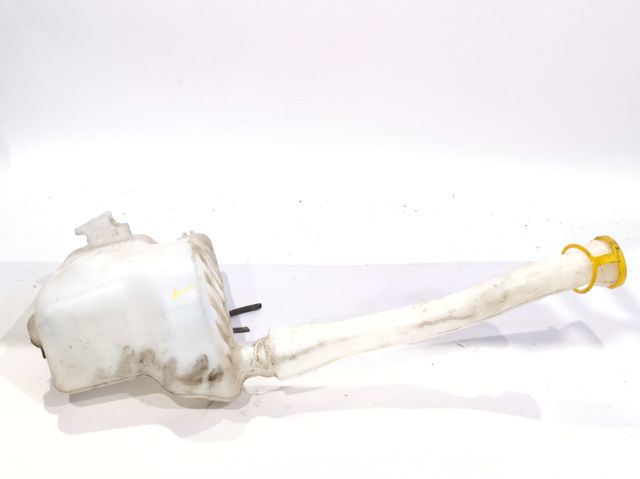 289100030R Renault (RVI)