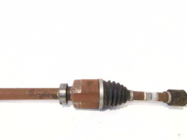 391005050R comprar Girona