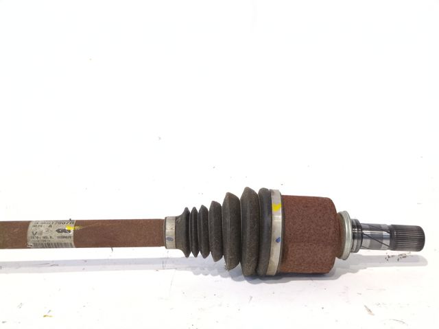 391017007R Renault (RVI)