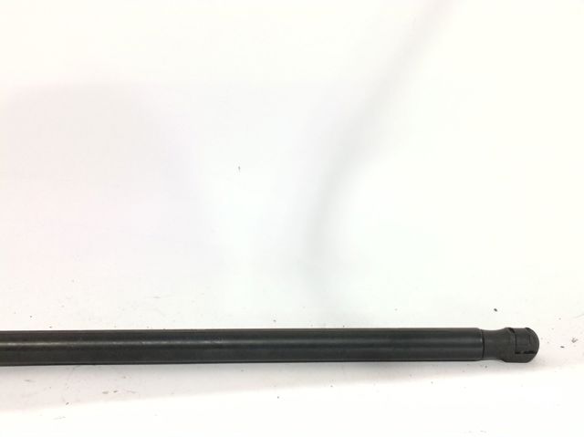 3C0823359A VAG Amortiguador de capó  comprar en Lleida