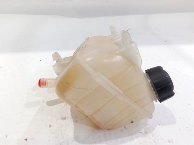 Depósito compensación refrigerante para Renault Kangoo II (FW0)