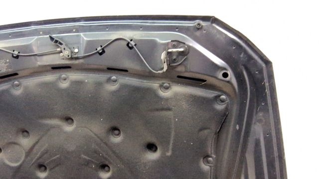 Capó delantero 41617207194 BMW