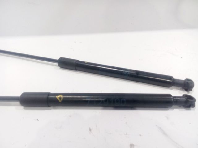 Comprar Amortiguador de la tapa del maletero BMW 3  E90 a bajo precio
