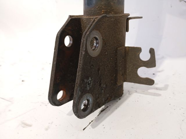 543029774R RENAULT Amortiguador  en stock Córdoba