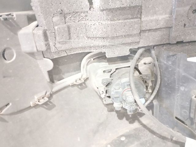 620225303R RENAULT Parachoques delantero  disponible Alicante
