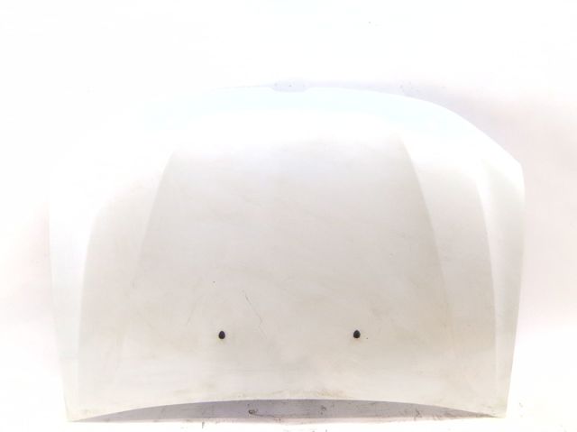 651000987R RENAULT Capó comprar Alcalá