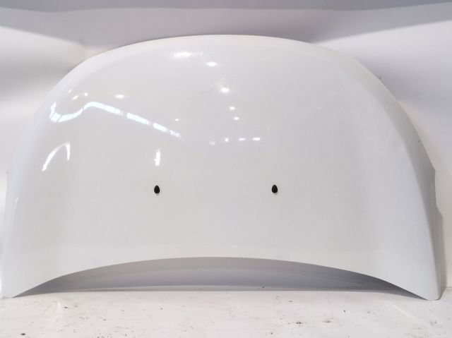651007793R RENAULT Capó  comprar en Lleida