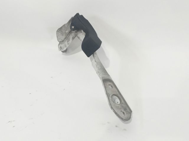 654010006R Renault (RVI)