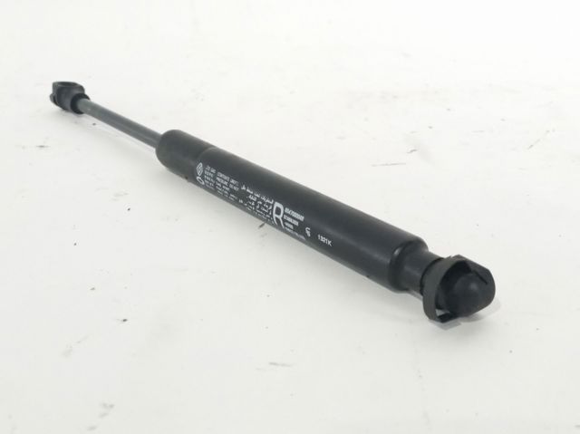 654700004R Renault (RVI)