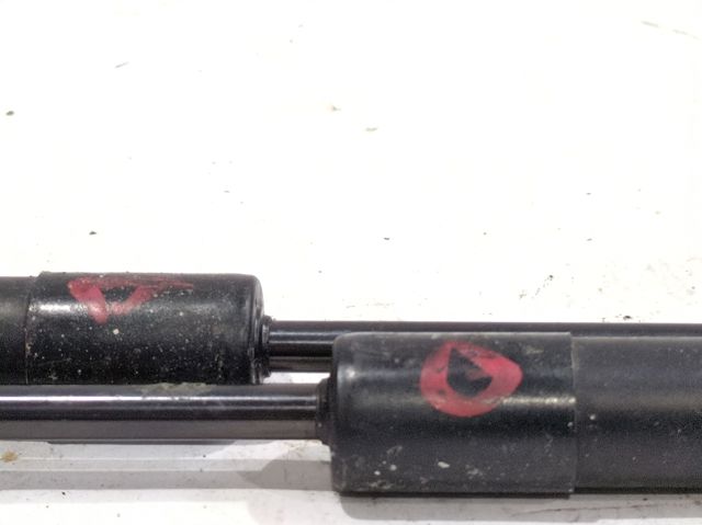 Muelle neumático, tapa delantera 654706489R RENAULT