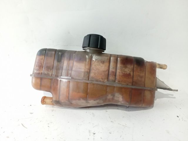 Vaso de expansión sistema de refrigeración Clio III hatchback (2005-2014) original desde 30,04 €