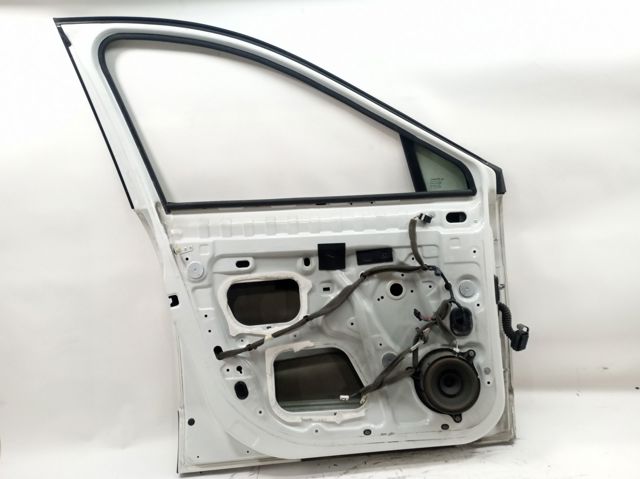 Comprar Puerta delantera izquierda Renault Scenic III JZ0, JZ1 a bajo precio