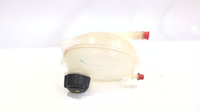 Comprar Tapa del depósito de refrigerante Renault Clio  LB0, LB1, LB2 a bajo precio