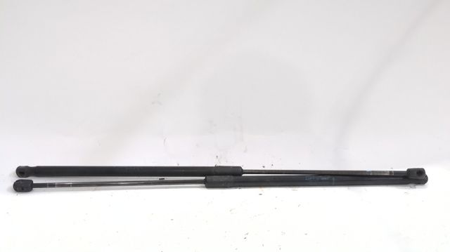 Comprar Amortiguador de la tapa del maletero Renault Megane III DZ0, DZ1 a bajo precio