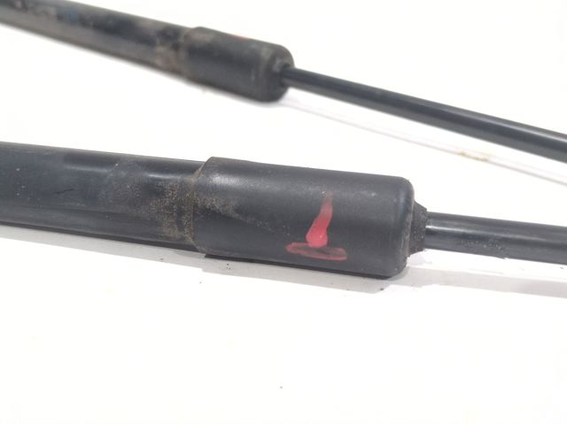 Amortiguador maletero 904522228R RENAULT