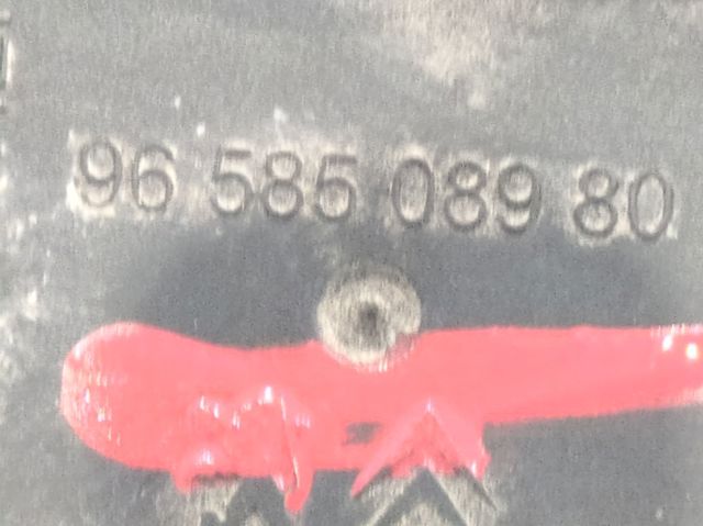 9658508980 Peugeot/Citroen